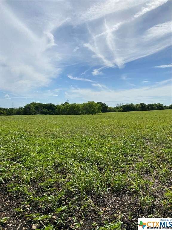 67.604 Acres of Land for Sale in Martindale, Texas