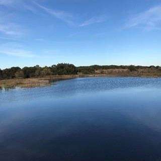 337 Acres of Recreational Land for Sale in Coleman, Texas