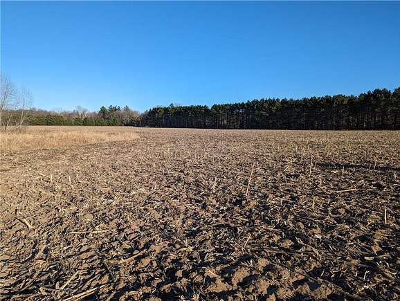 45 Acres of Land for Sale in Eleva, Wisconsin