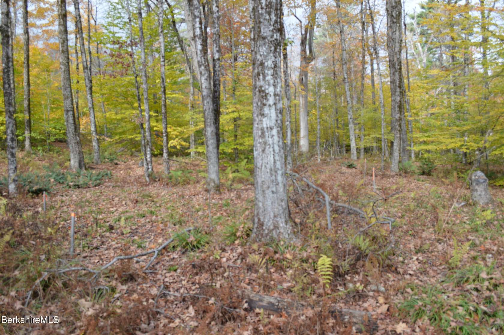 3.5 Acres of Residential Land for Sale in Becket, Massachusetts