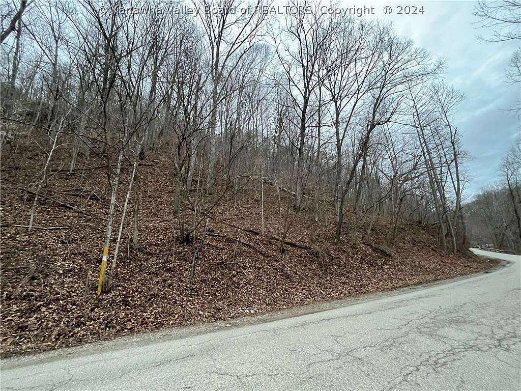 Residential Land for Sale in Chapmanville, West Virginia