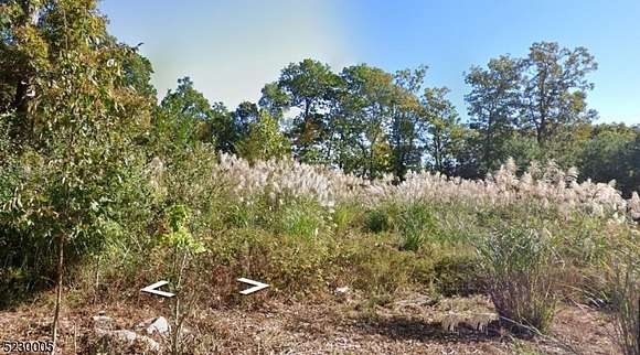 1.1 Acres of Residential Land for Sale in Montville Township, New Jersey