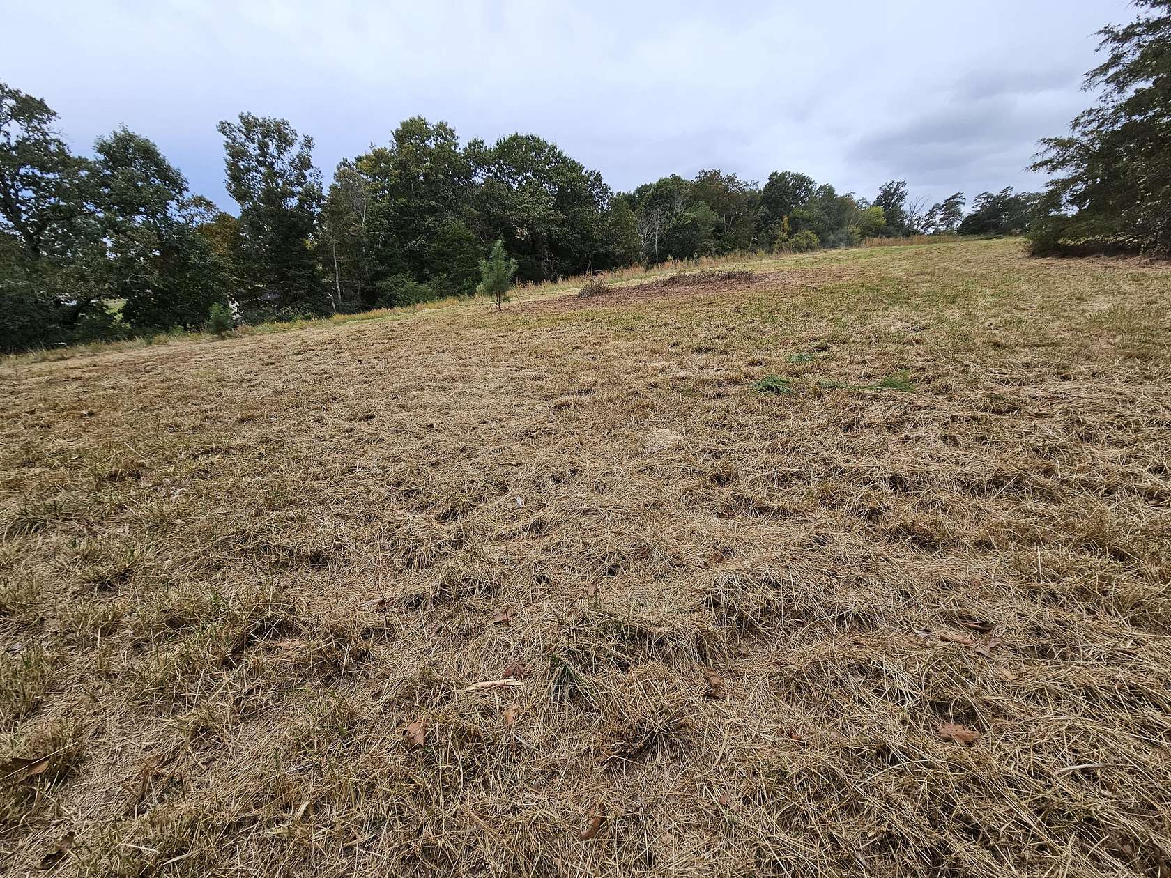 0.56 Acres of Residential Land for Sale in Cleveland, Tennessee