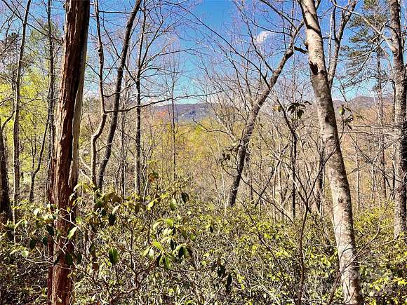 2.43 Acres of Residential Land for Sale in Lake Lure, North Carolina