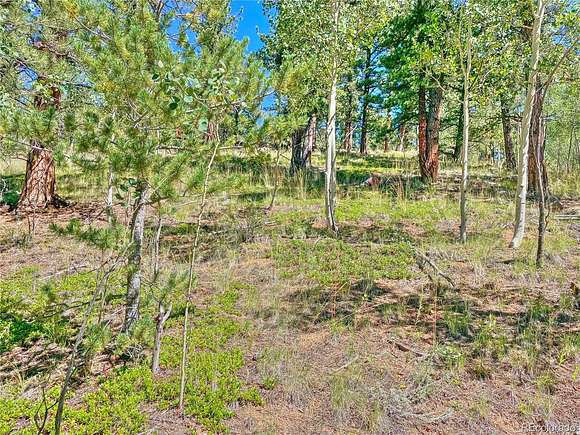 1.4 Acres of Residential Land for Sale in Bailey, Colorado