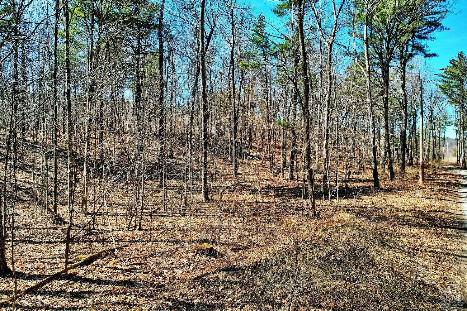 13.4 Acres of Land for Sale in Athens, New York