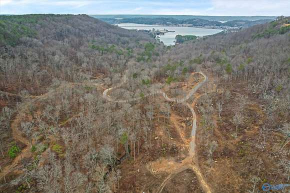 141 Acres of Land for Sale in Guntersville, Alabama