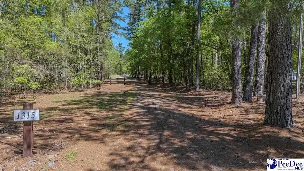 159 Acres of Recreational Land for Sale in Effingham, South Carolina