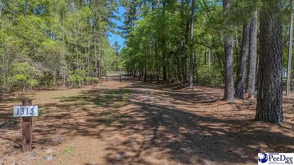 159 Acres of Recreational Land for Sale in Effingham, South Carolina