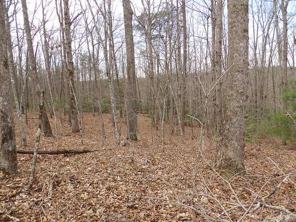 8.4 Acres of Land for Sale in Jamestown, Tennessee