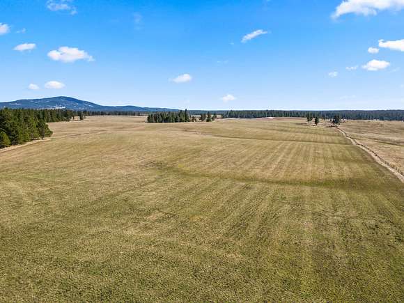 80 Acres of Recreational Land & Farm for Sale in Craigmont, Idaho