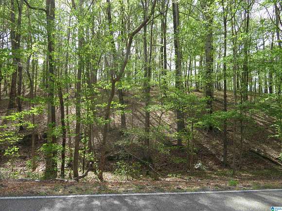 53 Acres of Recreational Land for Sale in Centreville, Alabama