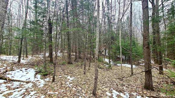 25 Acres of Recreational Land for Sale in Summit Lake, Wisconsin