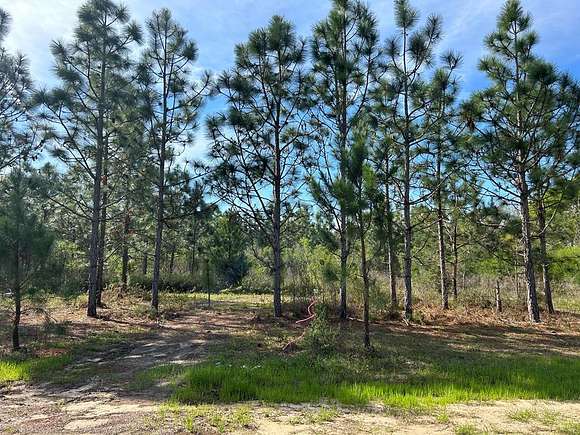 3 Acres of Residential Land for Sale in Headland, Alabama