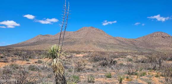 20 Acres of Recreational Land for Sale in Pearce, Arizona