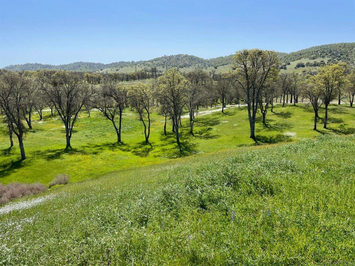 1.443 Acres of Residential Land for Sale in Copperopolis, California