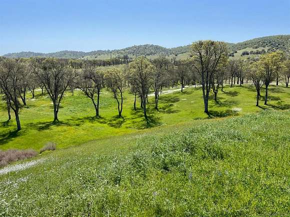 1.4 Acres of Residential Land for Sale in Copperopolis, California