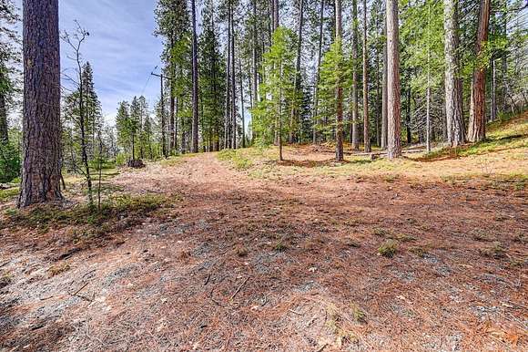 12.4 Acres of Recreational Land for Sale in Avery, California