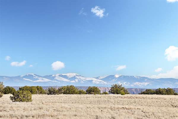 11 Acres of Land for Sale in Medanales, New Mexico