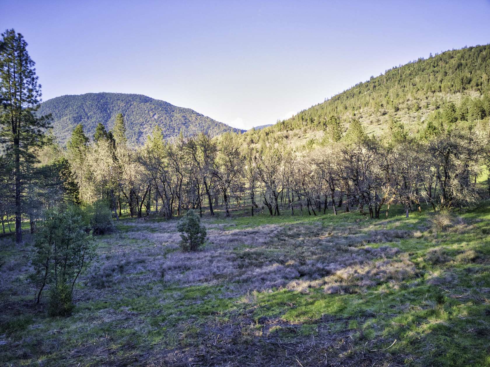 5 Acres of Residential Land for Sale in Grants Pass, Oregon