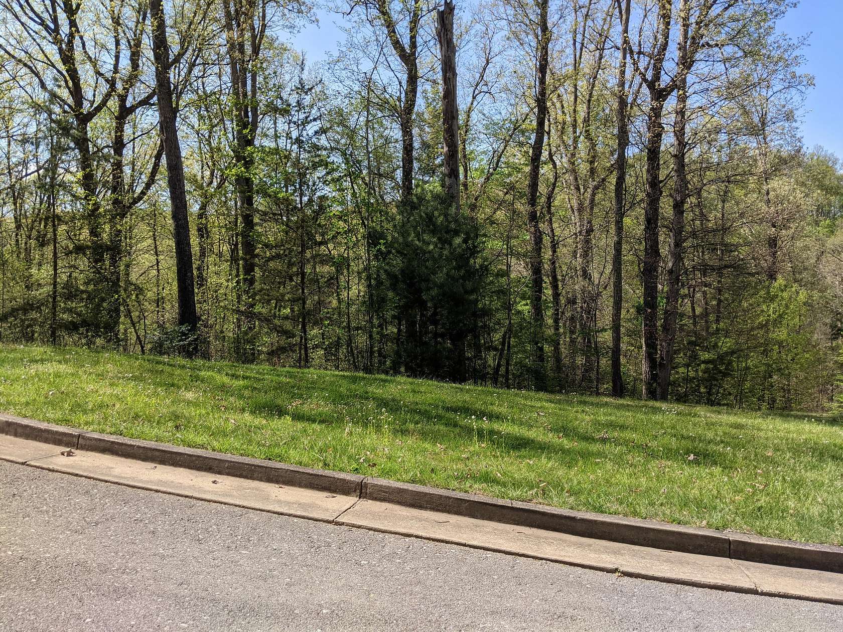 0.77 Acres of Residential Land for Sale in Bristol, Tennessee