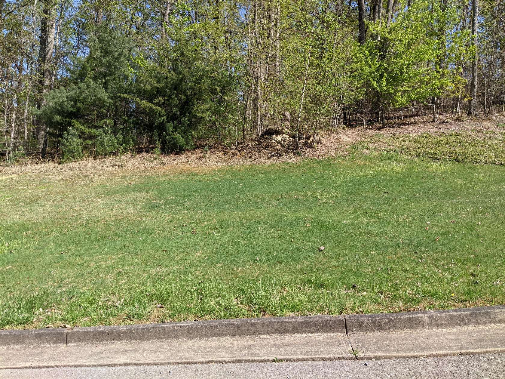 0.68 Acres of Residential Land for Sale in Bristol, Tennessee