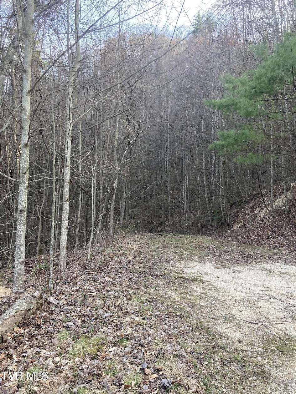 5.1 Acres of Residential Land for Sale in Butler, Tennessee