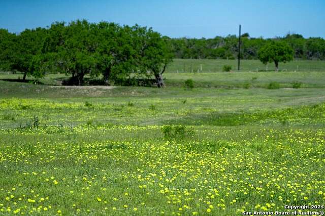 13.5 Acres of Agricultural Land for Sale in Elmendorf, Texas