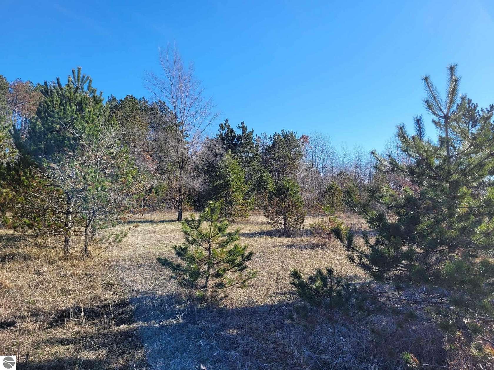 1.9 Acres of Residential Land for Sale in Harrietta, Michigan