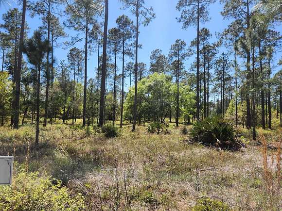 8 Acres of Land for Sale in Tallahassee, Florida