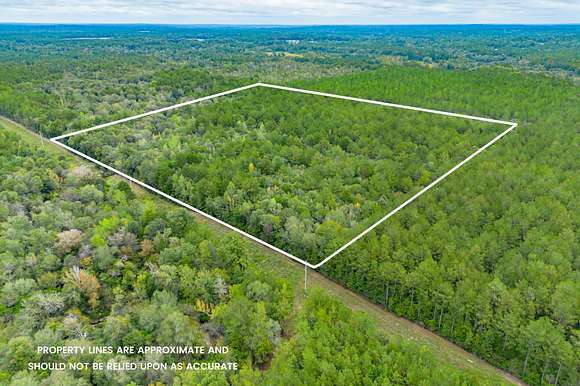 40 Acres of Land for Sale in Richton, Mississippi