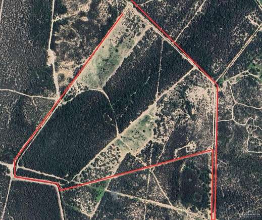 100 Acres of Agricultural Land for Sale in Rio Grande City, Texas