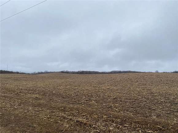 40 Acres of Agricultural Land for Sale in Garfield, Minnesota