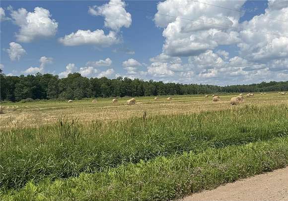 40 Acres of Land for Sale in Onamia, Minnesota