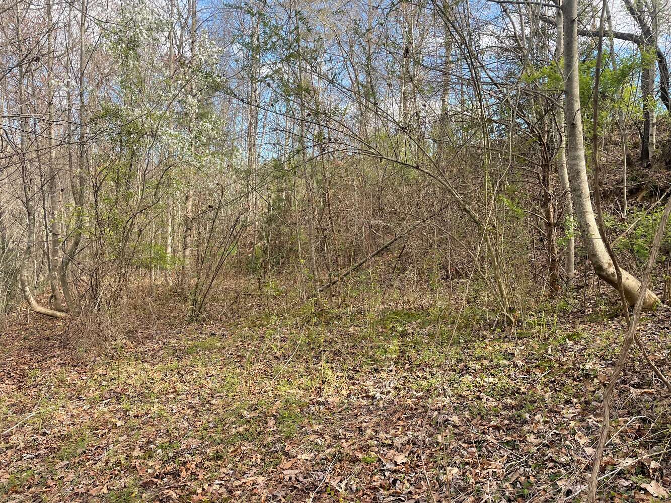 3.1 Acres of Land for Sale in Whittier, North Carolina