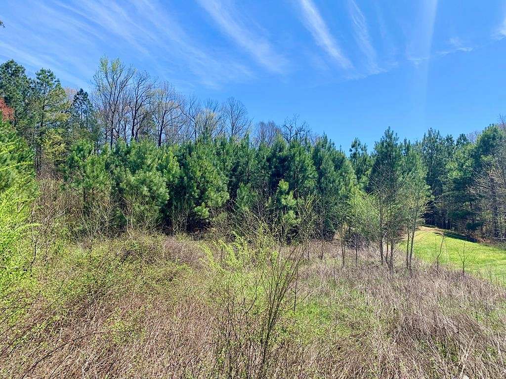 1.1 Acres of Residential Land for Sale in Sparta, Tennessee