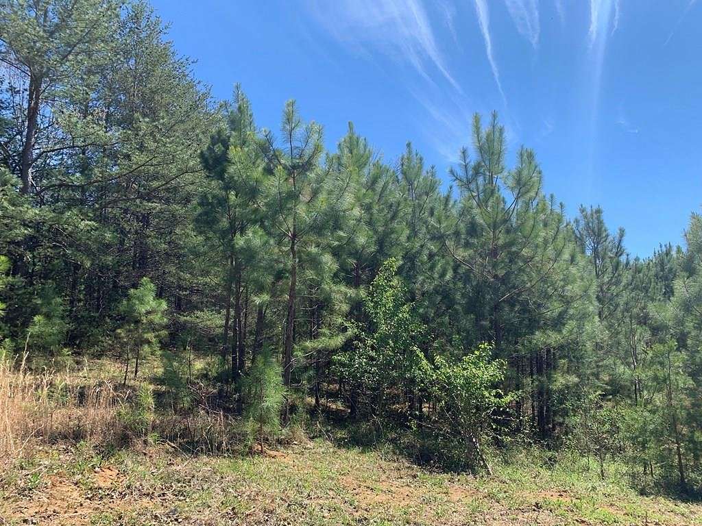 1 Acre of Residential Land for Sale in Sparta, Tennessee