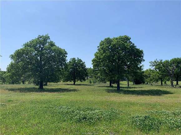 29.8 Acres of Agricultural Land for Sale in College Station, Texas