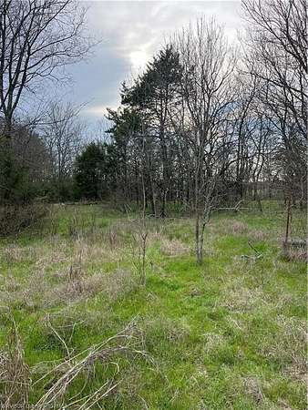 1.5 Acres of Land for Sale in Moyers, Oklahoma