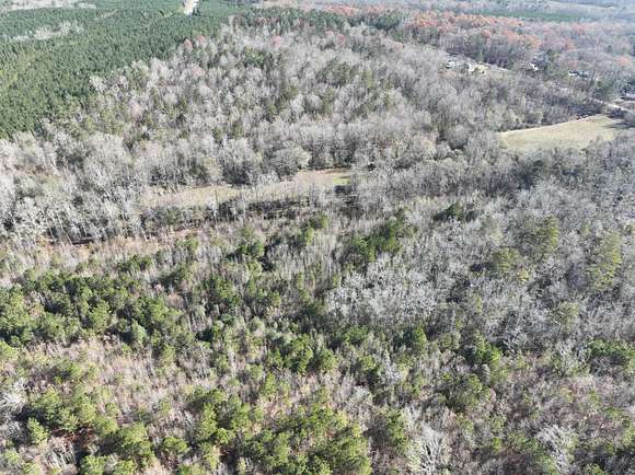 93 Acres of Recreational Land for Sale in Roopville, Georgia