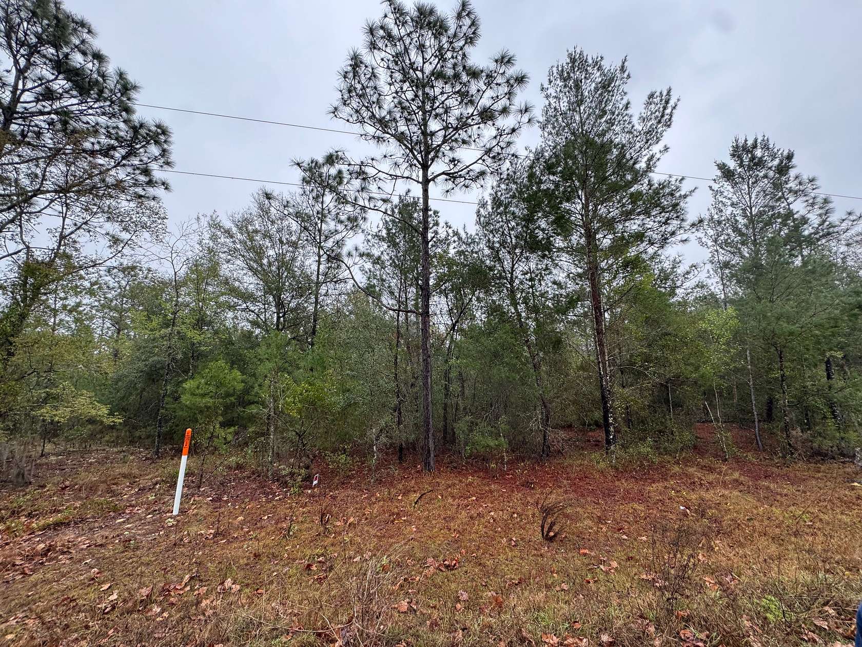 0.23 Acres of Residential Land for Sale in Interlachen, Florida