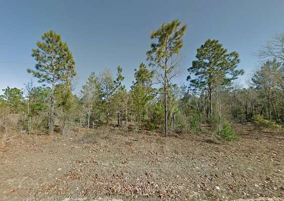 0.23 Acres of Residential Land for Sale in Interlachen, Florida