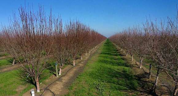 346 Acres of Agricultural Land for Sale in Davis, California