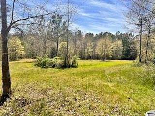23.4 Acres of Agricultural Land for Sale in Starr, South Carolina