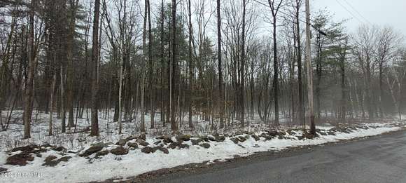 29 Acres of Land for Sale in Blenheim Town, New York
