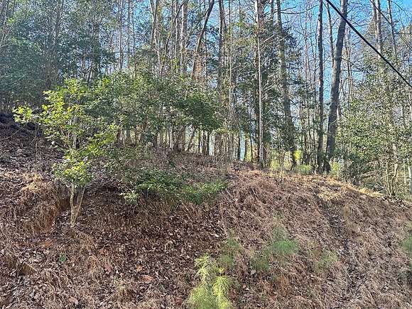 Land for Sale in Ellijay, Georgia - LandSearch