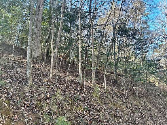 Land for Sale in Ellijay, Georgia - LandSearch