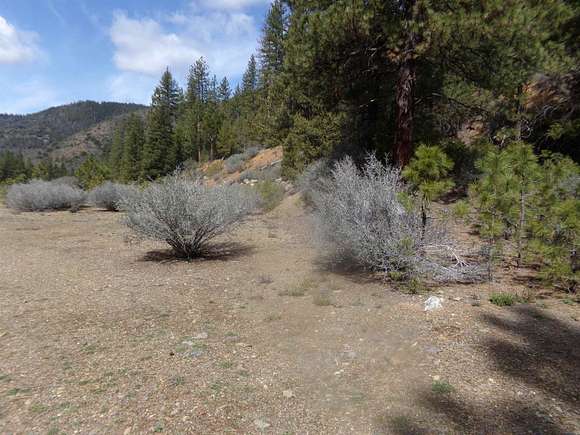 57 Acres of Recreational Land for Sale in Fort Jones, California