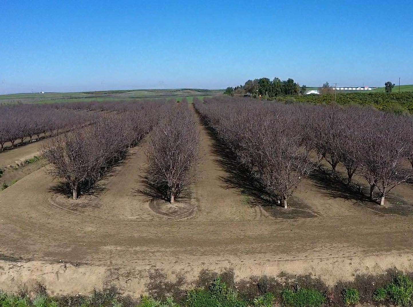 161 Acres of Agricultural Land for Sale in Woodland, California