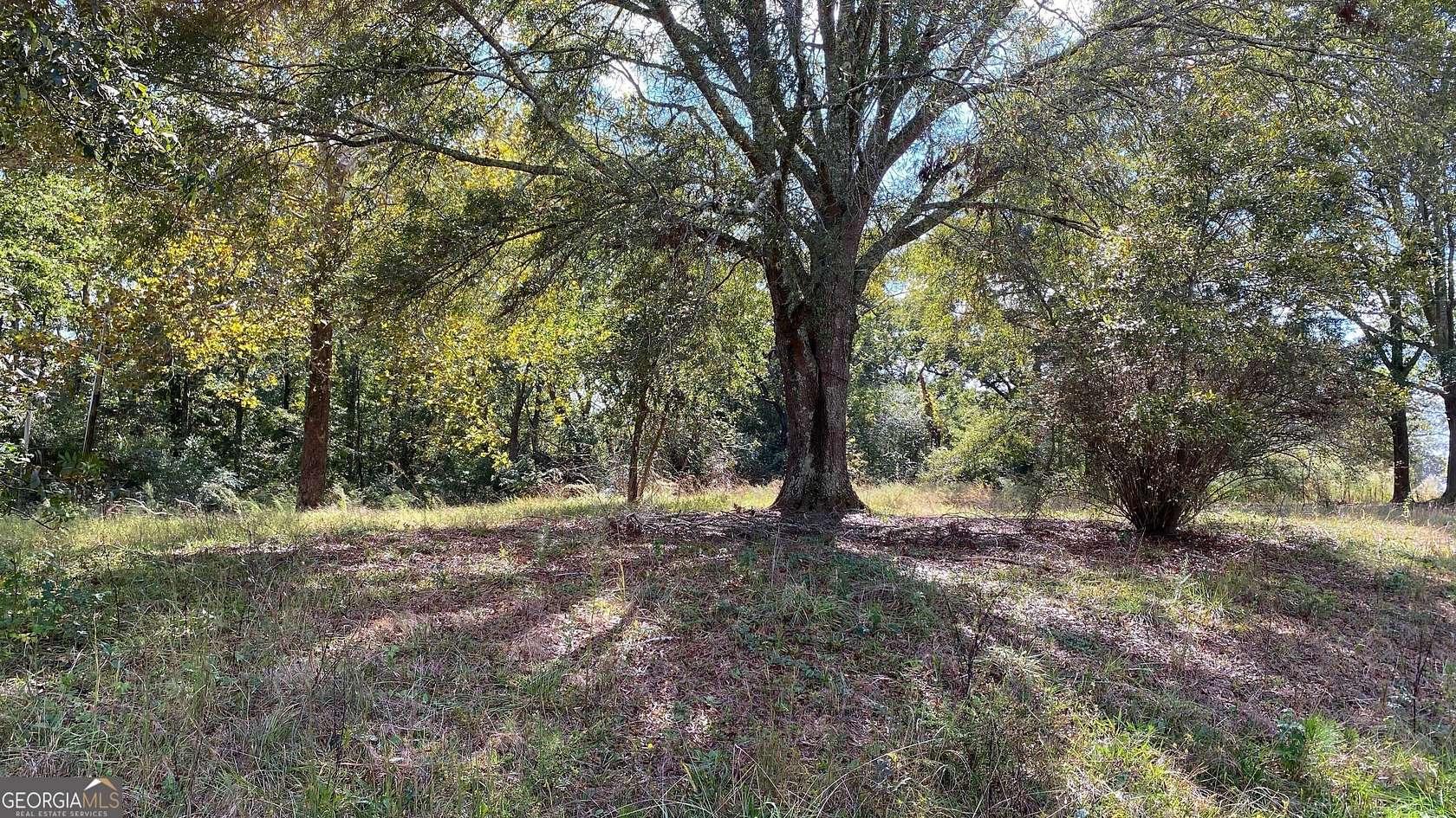 1 Acre of Residential Land for Sale in Conyers, Georgia